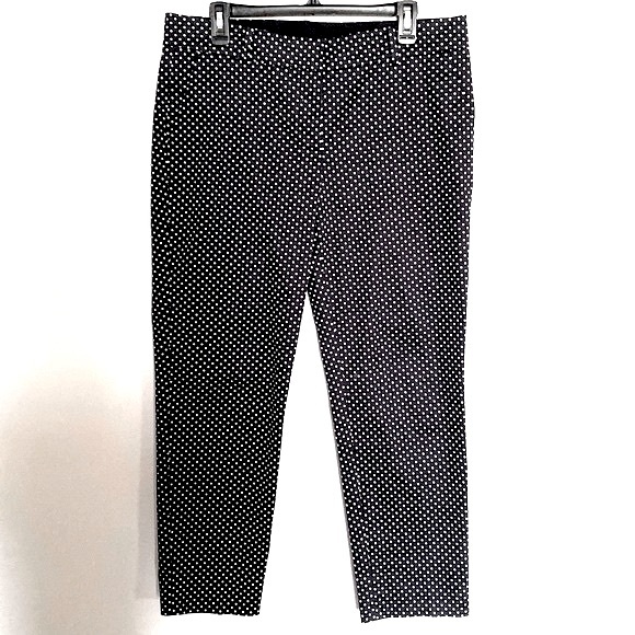 Ann Taylor Cambridge Corp Navy White Polka Dot, Size 10 - Picture 2 of 8
